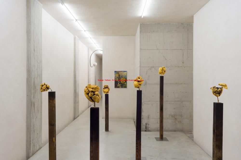 Installazione alla galleria Cardrde, Bologna, 2022